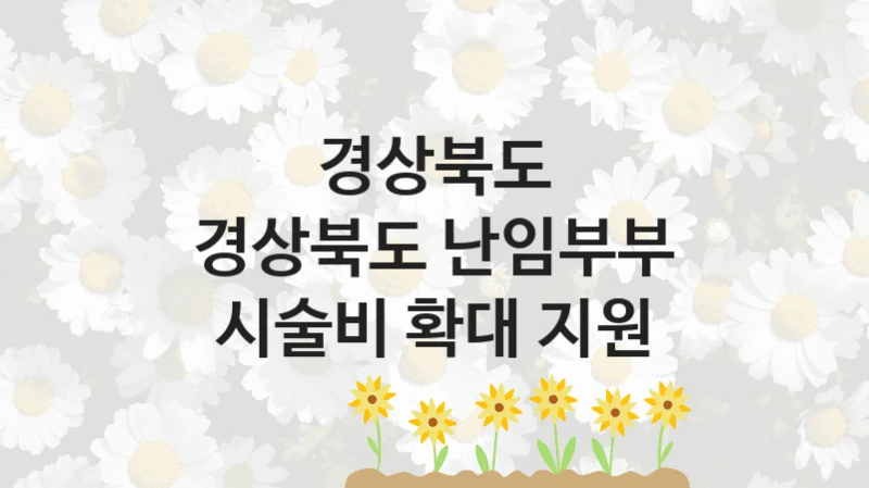 경상북도 정책, 경상북도 난임부부 시술비 확대 지원, 신청 방법과 구비 서류