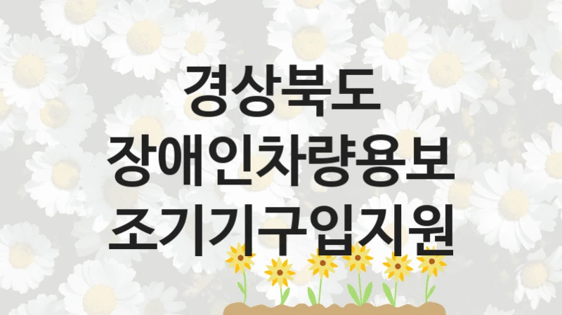“장애인차량용보조기기구입지원” 혜택 대상자 조건 – 경상북도 복지정책 요건 및 혜택