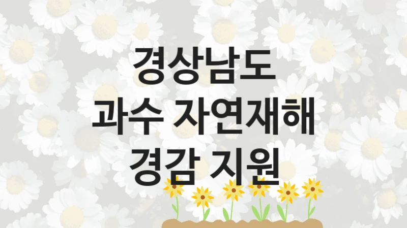 경상남도
과수 자연재해 경감 지원