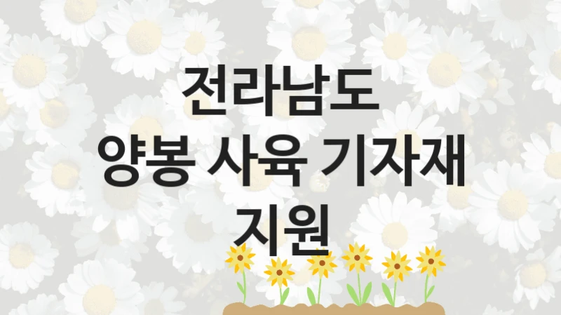 공공 복지 프로그램 “양봉 사육 기자재 지원” – 전라남도 신청 대상 및 제출 서류