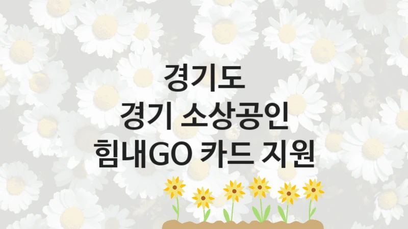 경기도
경기 소상공인 힘내GO 카드 지원