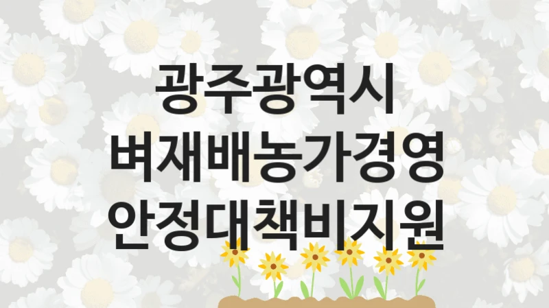 광주광역시
벼재배농가경영안정대책비지원