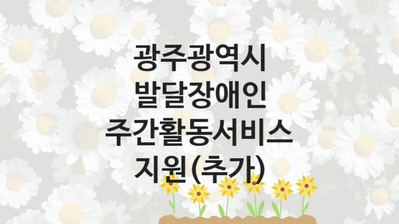 광주광역시
발달장애인 주간활동서비스 지원(추가)