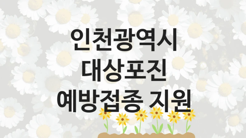 인천광역시 지원정책, 대상포진 예방접종 지원, 신청 조건과 신청 방법