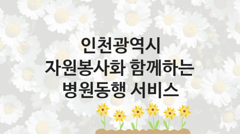 정부 복지 서비스 “자원봉사화 함께하는 병원동행 서비스” – 인천광역시 신청 대상 및 제출 서류