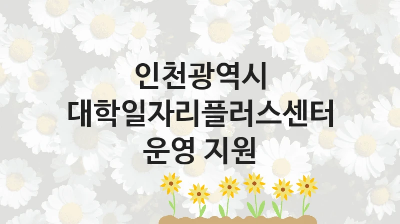 인천광역시
대학일자리플러스센터 운영 지원