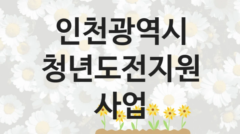 인천광역시
청년도전지원사업