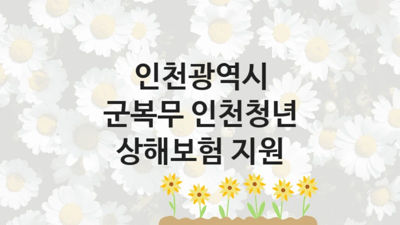 인천광역시 공공 지원 정책 “군복무 인천청년 상해보험 지원” – 접수 방법 및 지원 한도