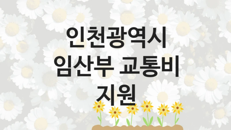 인천광역시
임산부 교통비 지원