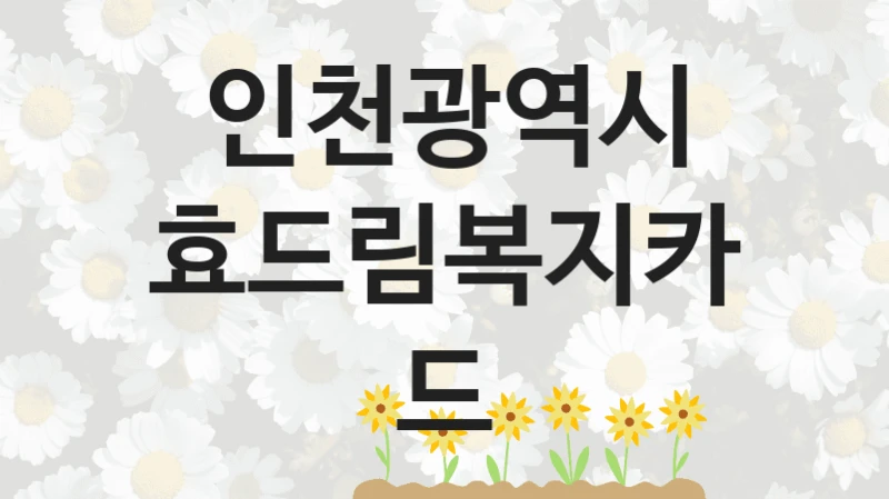 정부 지원 제도 “효드림복지카드” 신청 대상 및 자격 조건 – 인천광역시