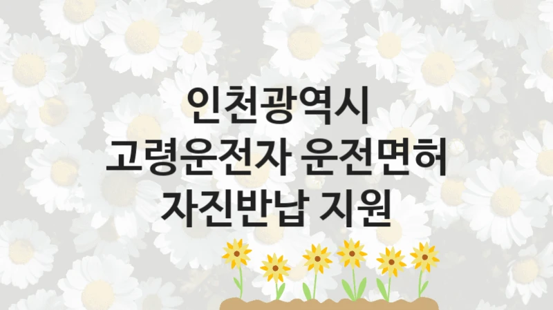 인천광역시
고령운전자 운전면허 자진반납 지원