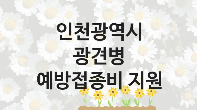 인천광역시
광견병 예방접종비 지원