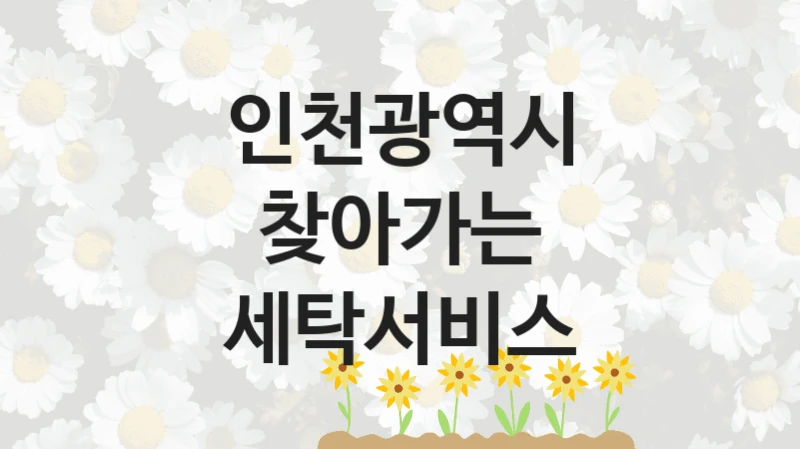 인천광역시
찾아가는 세탁서비스