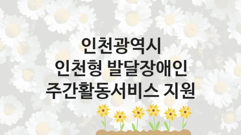 “인천형 발달장애인 주간활동서비스 지원” 혜택 대상자 조건 – 인천광역시 복지정책 요건 및 혜택 안내