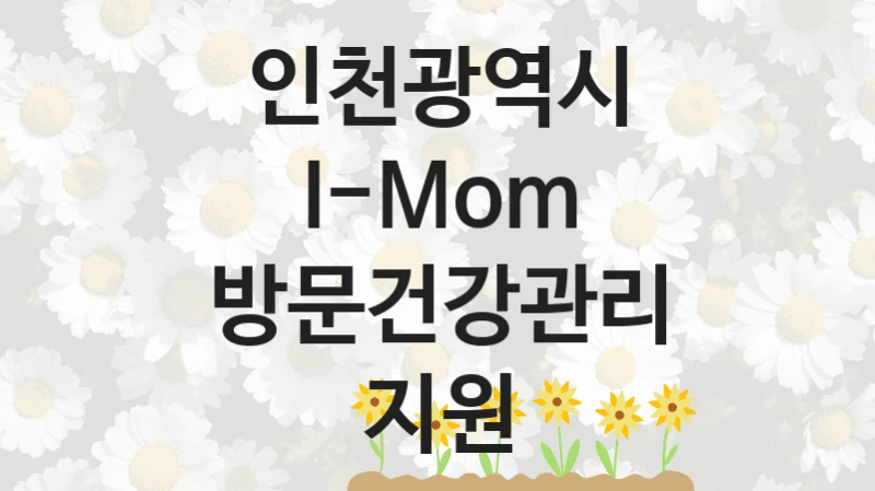 인천광역시
I-Mom 방문건강관리 지원