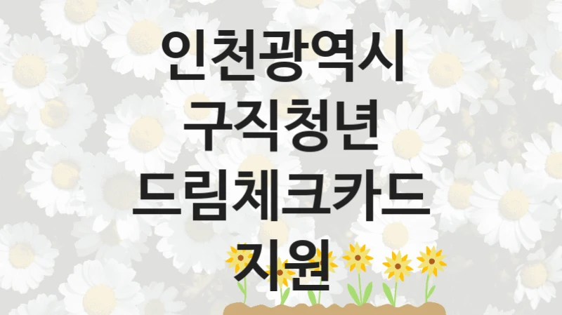 인천광역시 사회 지원 제도 “구직청년 드림체크카드 지원” – 접수 일정 및 지원 내용