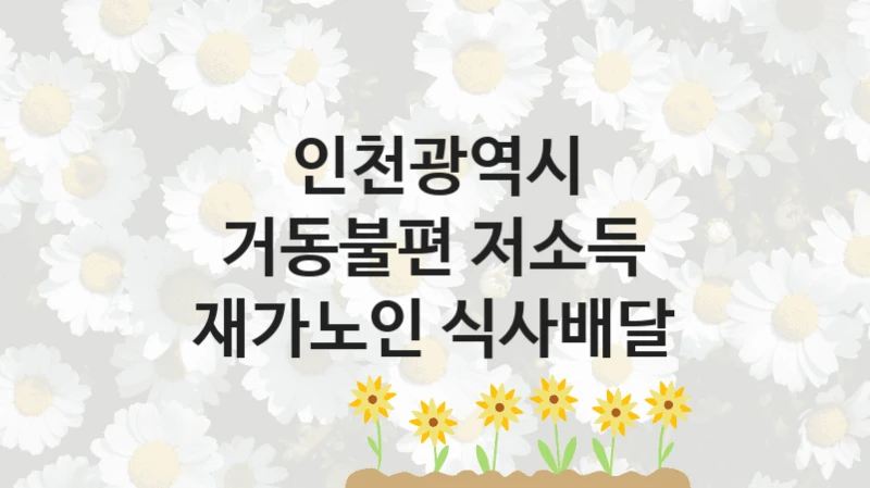 인천광역시
거동불편 저소득 재가노인 식사배달