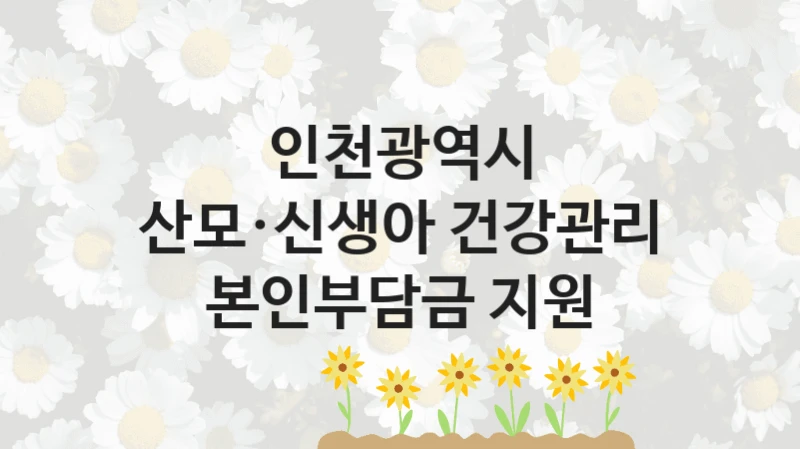 인천광역시
산모·신생아 건강관리 본인부담금 지원