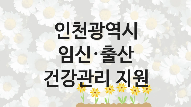 인천광역시
임신·출산 건강관리 지원