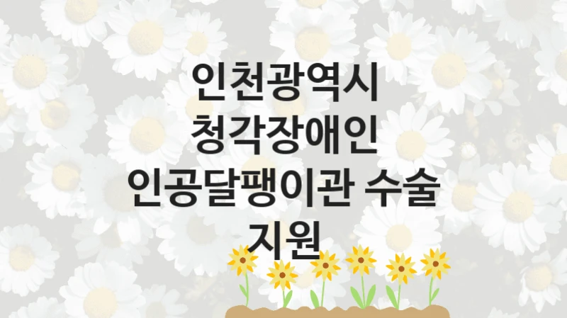 인천광역시
청각장애인 인공달팽이관 수술 지원
