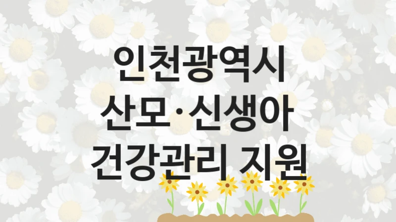 인천광역시
산모·신생아 건강관리 지원