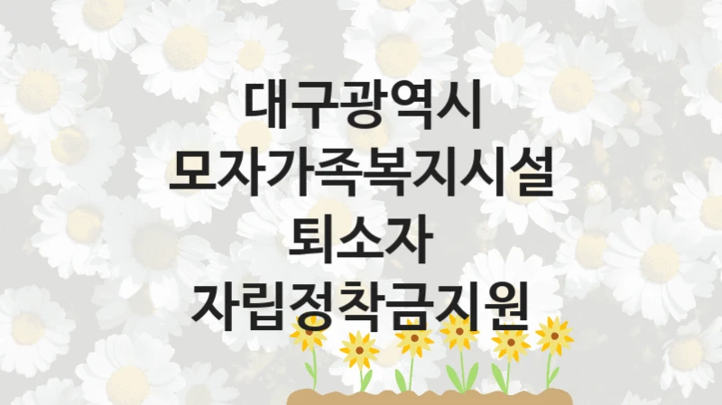 대구광역시
모자가족복지시설 퇴소자 자립정착금지원