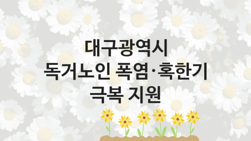 대구광역시 사회 지원 제도 “독거노인 폭염·혹한기 극복 지원” – 신청 요건과 제출 서류