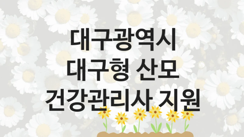 대구광역시
대구형 산모 건강관리사 지원
