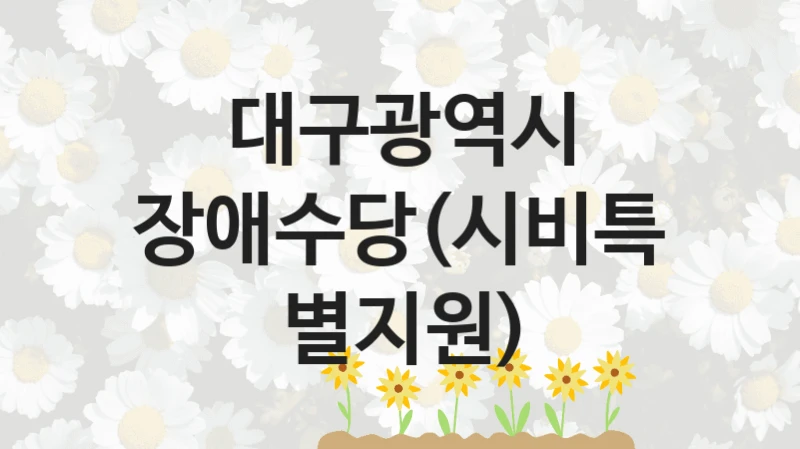 대구광역시, 장애수당(시비특별지원) 지원 정책정리, 신청 방법과 자격 조건