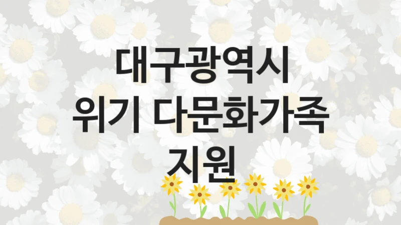 대구광역시 사회 복지 혜택 “위기 다문화가족 지원” – 접수 방법 및 지원 한도