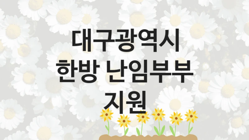 대구광역시
한방 난임부부 지원