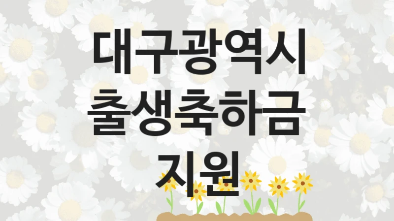 대구광역시
출생축하금 지원