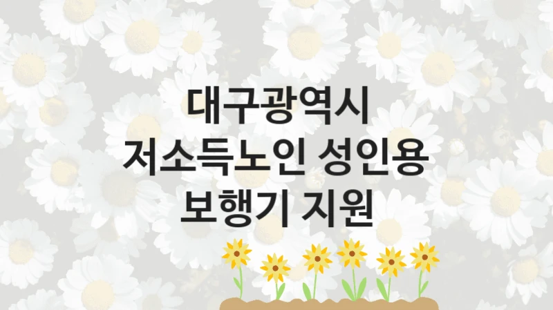 대구광역시 “저소득노인 성인용 보행기 지원” 복지 지원 정책 – 지원 대상 및 신청 방법