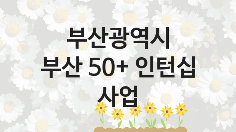 부산광역시
부산 50+ 인턴십 사업