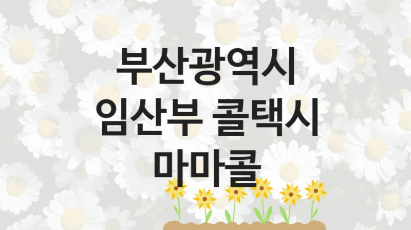 부산광역시
임산부 콜택시 마마콜