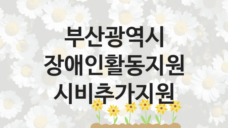 부산광역시
장애인활동지원 시비추가지원