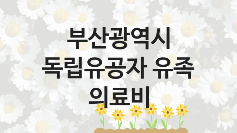 부산광역시 사회 복지 혜택 “독립유공자 유족 의료비” – 접수 방법 및 지원 한도