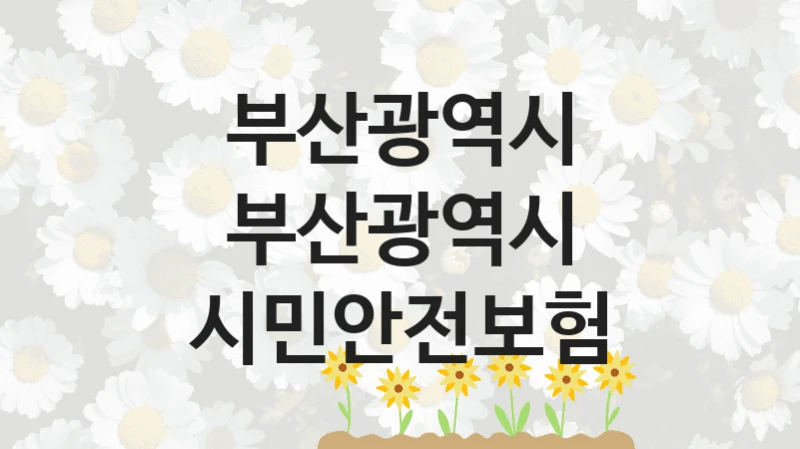 부산광역시 사회 복지 혜택 “부산광역시 시민안전보험” – 신청 기준과 서류 준비