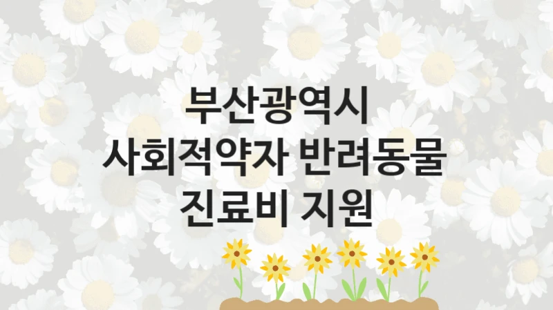 사회적약자 반려동물 진료비 지원 신청 가이드 – 부산광역시 복지 지원 혜택 정리