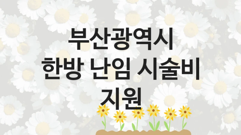 부산광역시
한방 난임 시술비 지원