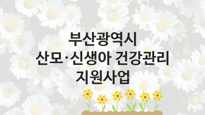 부산광역시
산모·신생아 건강관리 지원사업