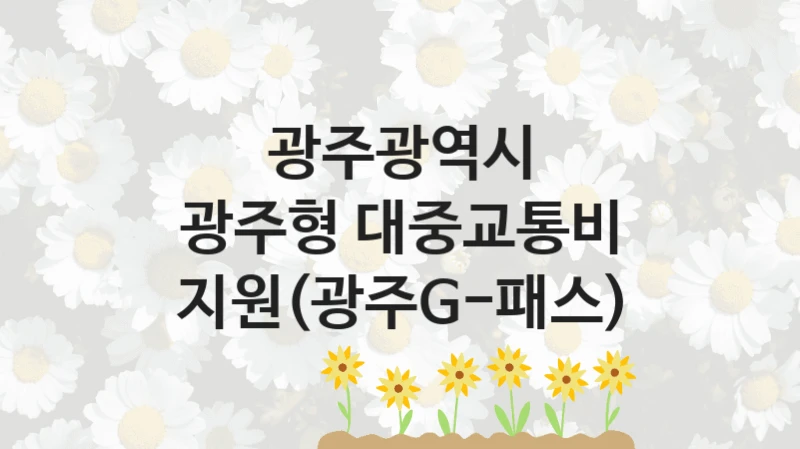 광주광역시
광주형 대중교통비 지원(광주G-패스)