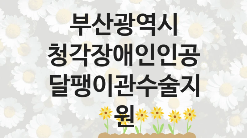 부산광역시 “청각장애인인공달팽이관수술지원” 지원사업 자격 조건과 신청 일정