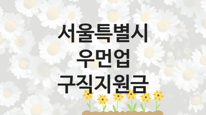 서울특별시 “우먼업 구직지원금” 복지 지원혜택 – 신청 조건과 자격 조건