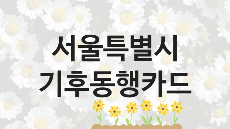 “기후동행카드” 복지 혜택 신청부터 지급까지 – 서울특별시 지원 정책