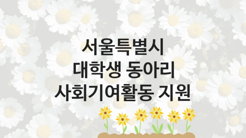 “대학생 동아리 사회기여활동 지원” 서울특별시 지원 혜택 – 신청 방법과 구비 서류