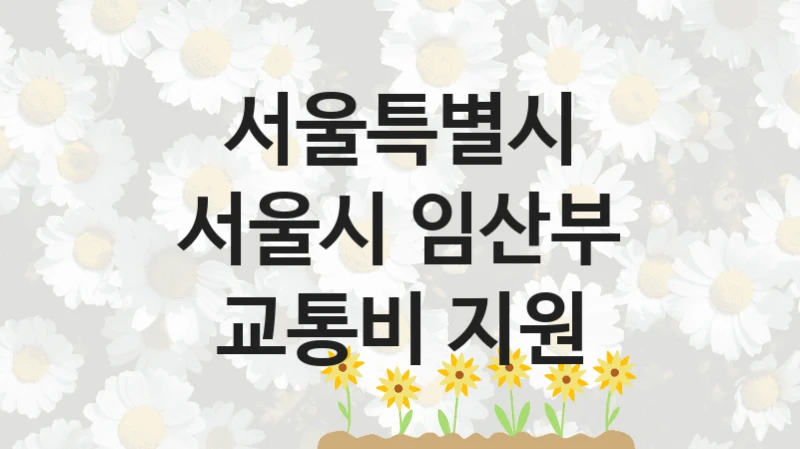 서울특별시
서울시 임산부 교통비 지원