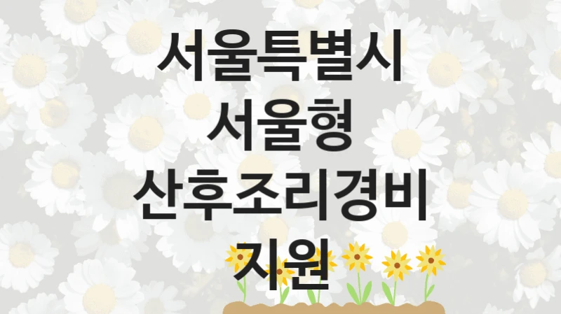 서울특별시
서울형 산후조리경비 지원