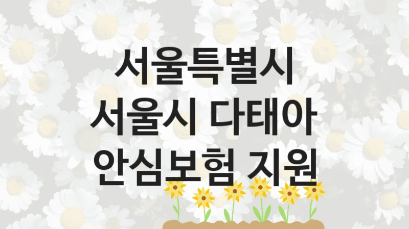 국가 복지 정책 “서울시 다태아 안심보험 지원” 신청 대상 및 자격 조건 – 서울특별시