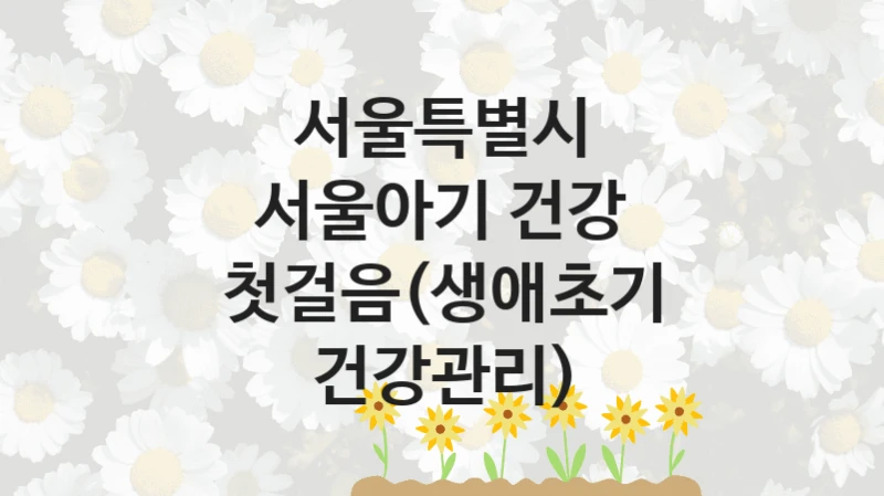 서울특별시
서울아기 건강 첫걸음(생애초기 건강관리)